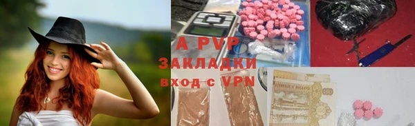 стаф Магадан