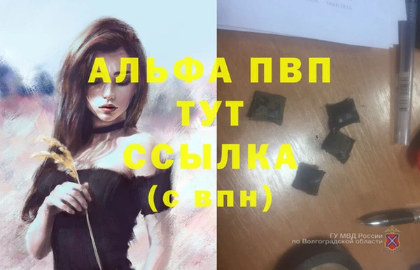 соль ск Магас